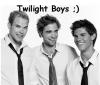twilight boys ;)