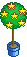 Stars in  a tree