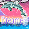 dreamer dolphin