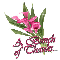 Pink Flower: A Bunch of Thanks