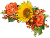 orange rose with sunflower