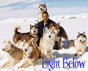 Eight Below Huskys