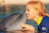 Trainer and dolphin