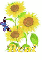 roni sun flower