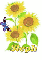 steph sun flower