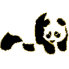 enjoi panda