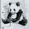 My Panda Drawing!