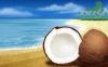 islands coconut