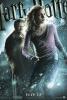 Harry Potter & The Half-Blood Prince Poster - Hermione & Slughorn