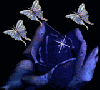 blue rose 