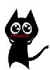 black cat -lovely