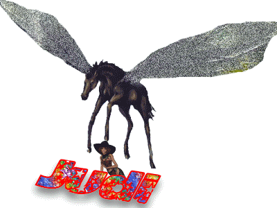 Judi's fairy pony
