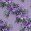 Lilac Blend  
