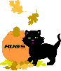Halloween Pumpkin and Black Kitty - Hugs