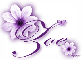 Purple Flower - Zoe