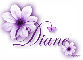 Purple Flower - Diane