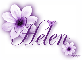 Purple Flower - Helen