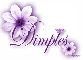 Purple Flower - Dimples
