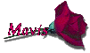 Red Rose - Mavis
