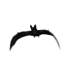 bat attack