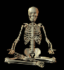 yoga skeleton