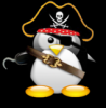 pirate penguin