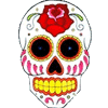 skull changing avatar