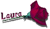Red Rose - Laura