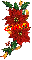 Christmas Red Poinsettia - Cindi