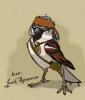 sparrow jack