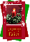 Christmas candle-Erika