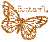 butterfly with text