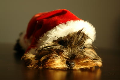 Santa