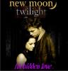 New Moon;Twilight