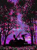 purple night fairy
