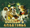 seasons greetings dogs