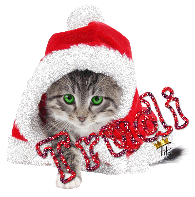 cute santa cat Trudi