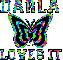 DARLA Butterfly Loves it