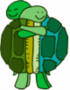Hugging Turtles