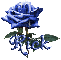 blue rose rick