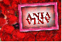 Red rose -- Ania 
