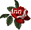 Butterfly Red Rose - Ann