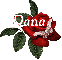 Butterfly Red Rose - Dana