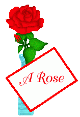 a rose for a rose