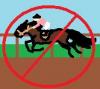 No horseracing