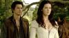 the legend of the seeker