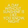 A day without sunshine is like,you know night