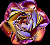 Metalic Rose