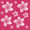 PINK FLOWERS Contest2 gg background