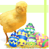 easter chick